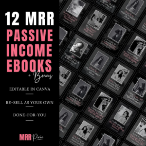 MRR Passive Income eBook Bundle, master resell rights, private label rights, plr ebook PLR & MRR Rights