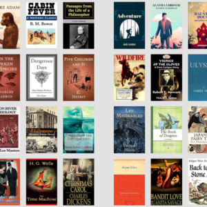 1000 timeless classic & famous novels in digital format with PLR 100% copyright free PLR & MRR Rights
