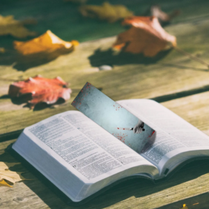 Thriller Bookmark Bundle, Horror Crime Thriller Bookmarks - Digital, downloadable bookmark PLR & MRR Rights