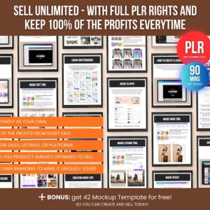 Canva Crash Course with PLR Resell Rights, Editable Video Tutorial & Ebook, Canva Training Guide for Beginners and Resellers, Etsy Sellers